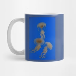 Jellyfish Dance. Aquarium of Xcaret. Mug